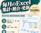 即日対応！毎月のExcel集計を丸ごと代行します 即日返信。5ファイル・1万行まで。集計表と不一致一覧つき イメージ3