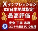 X〈Twitter〉のインプレッションを増やします 実績多数｜日本地域からの閲覧。インプ１万回！減少率０% イメージ1