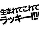 ポジティブになれる方法を教えます いつもネガティブなあなた、考え方ひとつで変われます。 イメージ1
