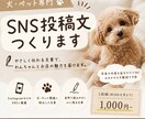 犬・ペット専門SNS投稿や紹介文を自然に作成します インスタなどの投稿文を、やさしく伝わる文章に仕上げます イメージ1