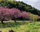 辛い気持ちの整理手伝います 詐欺被害者に共感し寄り添います。独りで抱え込まないで。 イメージ4