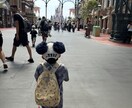 看護師があなたのお話聞いて寄り添い心を癒します 日々頑張りすぎてしまうあなたへ陽だまりのような休息時間を イメージ2