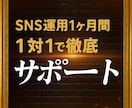 SNS運用1ヶ月間1対1で徹底サポートします フォロワー数やインプだけじゃない！売れる投稿をしましょう イメージ1