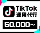 丸投げOK！プロが【1ヶ月】SNSの運用代行します ☆実績多数☆　貴社の課題に合わせてなんでも幅広く対応します！ イメージ2