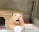 写真から不要な情報を消します 惜しかったあの写真をお気に入りに昇格！！ イメージ5