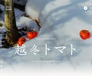 破格の値段でコーティング代行受け付けます デザイン通りにレスポンシブ対応の静的サイトを作ります。 イメージ10