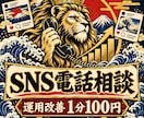 SNS運用の悩みを電話で整理し改善策を提案します 投稿・プロフィール・集客導線をその場で具体化します イメージ1