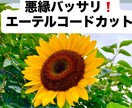 邪魔なしがらみや縁をエーテルコードカットします 貴方に絡みついている不要なしがらみをカットしてスッキリ⭐︎ イメージ1