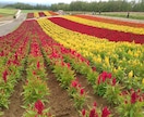 心の平安に導く「あいんモデル」で、魂の扉を開きます 心理学と大いなるワンネスを融合した、独自の心の開扉セッション イメージ2