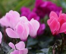 約1000文字×10本のご依頼を承ります 必要な情報を正確にまとめ、読みやすい記事を仕上げます。 イメージ1