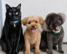 うちの子を主人公にしたAI画像と動画を作ります 毎日SNSで制作中の心あたたまる作品です イメージ7
