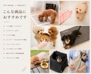 ペット用品の魅力が伝わる動画を撮影します 使用シーンやブランドイメージを映像で表現 イメージ2