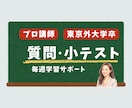東京外語大卒プロ講師が１か月毎週学習サポートします 質問＋小テストでしっかり身につくコース イメージ1