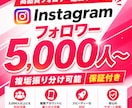 Instagramフォロワー＋5000人増やします ✅インスタグラム複垢振り分け可能！ゆっくり指定可能！⭕️ イメージ1