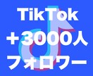 Tiktokフォロワー3000人増やします 評価貯まるまで最安★フォロワー確実に増加させます！ イメージ4
