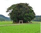 鳥取の穴場スポットのご相談承ります 鳥取のことならなんでも！暇さえあればあちこち行ってます！ イメージ3