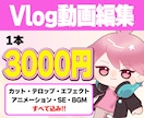 vlog動画お作りします のんびりとしたvlog動画をお作りします！ イメージ1