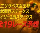 エリザベス女王杯・武蔵野S・デイリー2歳Sします 【全19レース予想】エリザベス女王杯・武蔵野S・デイリー2歳 イメージ1