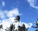 夢のハワイに簡単に住む方法教えます 留学、旅行などハワイに関すること イメージ1