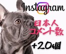 インスタ✨魅力的な日本人コメント付与します あなたの投稿に“共感の声”を届けます✨日本人コメント20件 イメージ1