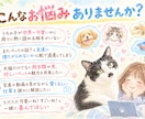 動物オタクが聞く　ペットの親バカ自慢ます 犬猫エキゾチックアニマルも！動物オタクがペット自慢を聞きます イメージ1