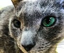 写真が趣味の社会人が撮り溜めている写真を提供します 写真を使いたいけど自分で撮るのが苦手な方へ イメージ10