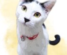 ペットのお写真を素敵なイラスト風に加工します あなたとペット(犬、猫など)の写真も可♪ハガキなどにどうぞ イメージ4