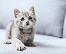 同業者必見！治療家の為のお悩み相談をします 患者様を治すことや、就職前後の相談。なんでも構いません！！ イメージ9