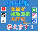 SNS拡散サービスの手法/業者の始め方を教えます 拡散サービスを買うのは実はもったいない!? /副業にもなる！ イメージ1