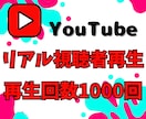 YouTube動画リアル視聴者で再生回数増やします ✨リアル視聴者による再生をYouTube広告で＋1000回✨ イメージ1