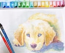 水彩でカラフルな動物やペットの似顔絵を手描きします ペットを飼っている方、友人へのプレゼントや自宅インテリアに。 イメージ7