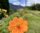 何かモヤモヤしてることがあったらお話聞きます あなたのもやもやなどを少しでも解決！ イメージ1