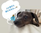 キャリア(人生)に関するモヤモヤの相談に乗ります 仕事や私生活でモヤモヤする…という方へ イメージ1