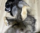 悩んでいる事、聴かせて頂きます 憩いの場所で自分の心に元気を与えてあげませんか？ イメージ3