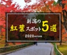 格安‼︎ 即レスを心掛け、バナーのデザインします 目的やターゲット層を想定した効果的なデザインの提案を イメージ3