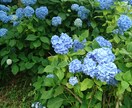 あなたの心の悩みをお聞きます いつも心が重く悩んでいるあたなたへあなたらしく生きるために イメージ1