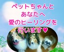 ペットちゃんとあなたへ至福のヒーリングを行います 大人気のペットヒーリングの単発バージョンです イメージ1