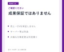 競合調査から売れるLPを丸ごと制作します 原稿・デザイン・実装まで一括対応します イメージ10
