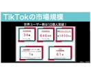 採用特化！プロが1ヶ月間TikTok運用代行します TikTok採用を実績多数のSNSマーケターが全力支援！ イメージ4