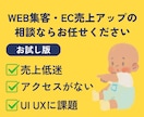 お試し版｜EC売上・集客相談乗ります ネットショップについてなんでもご相談承ります イメージ1
