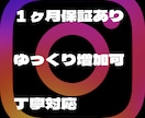 Instagramのフォロワー増やします 200名〜対応 即日対応　補充あり イメージ4