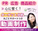 ターゲットの心に響く！PR動画を制作します ターゲット分析から丸ごとサポート！インバウンド対応可能です イメージ1