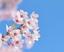 動画付き！あなたの恋愛相談・お話聞きます 1分でもOK✨辛い気持ち、嬉しい気持ち、一緒に寄り添います✨ イメージ6