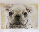 写真を元に動物の顔の似顔絵を描きます パステルアートで描くので柔らかく温かみのある似顔絵です。 イメージ5
