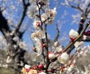 あなたのお話相手になります ちょっとした時間の暇つぶしに。 イメージ1