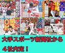 スポーツ業界(特にスポーツ新聞)の就活相談乗ります 大手スポーツ新聞社から4社内定！就活無双したいなら私に相談！ イメージ1