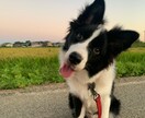 移住したい人の相談のります 家族あり、転職を伴う移住経験から得た知見をお伝えします！ イメージ6