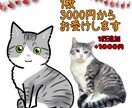 猫専門イラストレーターが愛猫ちゃんの似顔絵描きます 4/15まで期間限定価格！デフォルメ可愛い雰囲気の似顔絵✨ イメージ2