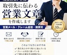 現役営業がAIで「取引先に伝わる文章」を作成します 営業メール・クレーム返信・謝罪文を丁寧に作成 イメージ1