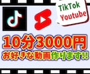 お試し！10分までの動画作成します 短めの動画をまずはお手軽に作りたい方へ！ イメージ1